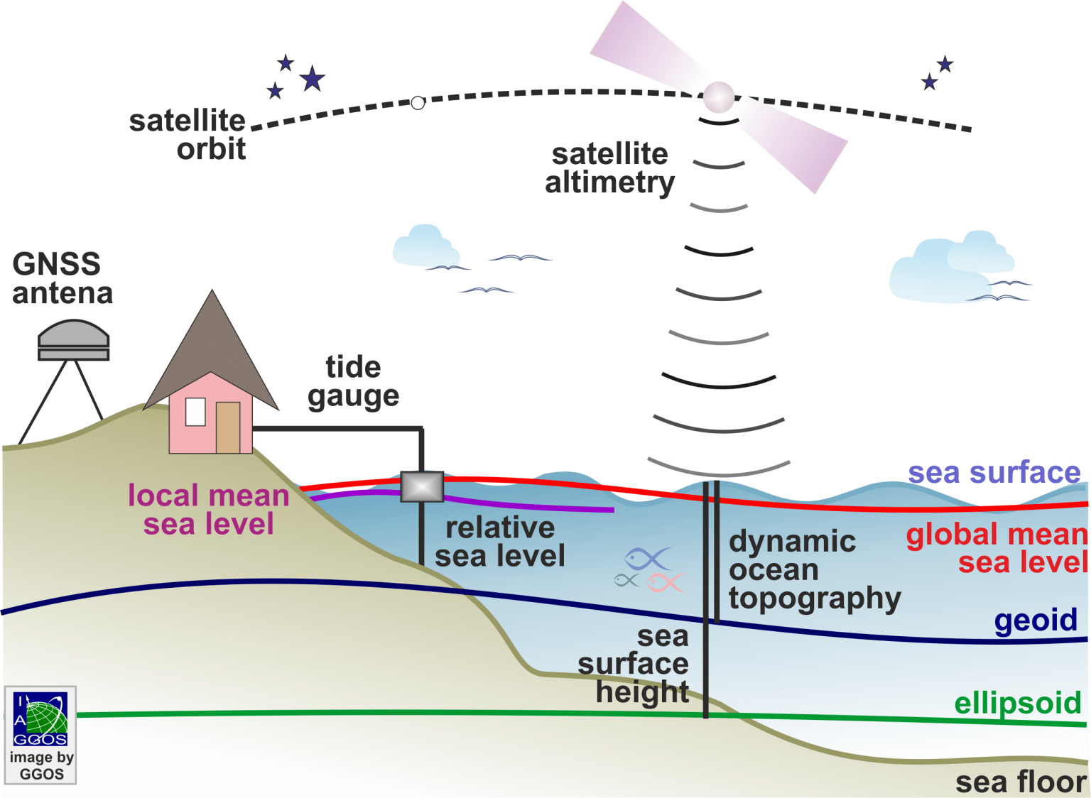 case study #1 keeping up with the sea level